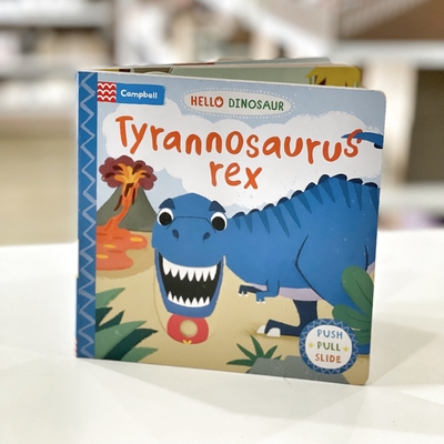 子供のためのカスタマイズされたサイズのフル カラーの恐竜のストーリー ボードの本